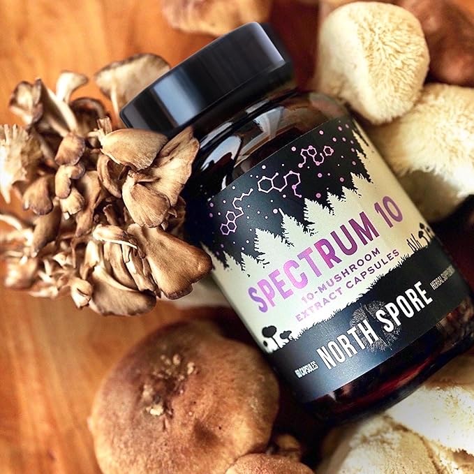 North Spore Organic 'Spectrum 10' High Potency Mushroom Capsules | Cognitive Supplement | Lion's Mane, Chaga, Cordyceps, Reishi, Turkey Tail | 10 Medicinal Mushrooms | Energy, Focus, Clarity - 60ct