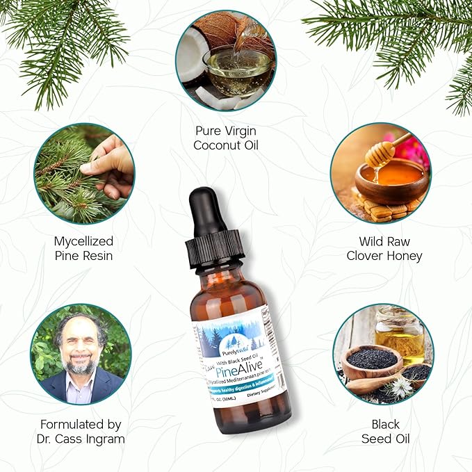 PURELY WILD PineAlive - Raw Pine Resin & Black Seed Oil Complex | Natural Energy & Vitality Support | Wild-Harvested Forest Extract | Dr. Cass Ingram's Original Formula | 1 fl oz with Dropper