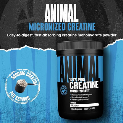 Animal Creatine Monohydrate Powder - Micronized Creatine for Women and Men, Supports Muscle Growth, Strength, Endurance, Recovery and ATP Production, Gym & Workout Supplements - Unflavored, 500g