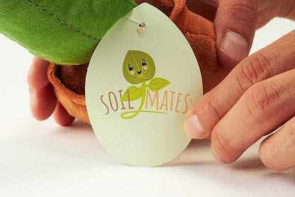 Hug Feel The Love Soil Mates – Aloe – Plush Plant Home Decor, Plush Shelf Decor, Cute Home Decor, Lil’ Seedlings Plush Toy, Thoughtful Message, 9 inches
