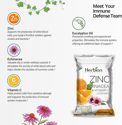 HERBION Naturals Zinc, Echinacea & Vitamin C Lozenges 25 CT - Dietary Supplement for Adults & Children 5+ - Promotes Wellness for The Whole Family (125 Count (Pack of 5), Orange)