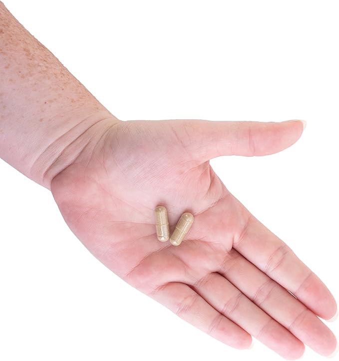 Kroeger Herbs, Olive Leaf Extract Capsules for Immune System, Olive Leaf & Yarrow Supplement, Vegetarian, Non-GMO, Gluten Free, No Preservatives - 100 Capsules, Made in USA