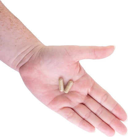 Kroeger Herbs, Olive Leaf Extract Capsules for Immune System, Olive Leaf & Yarrow Supplement, Vegetarian, Non-GMO, Gluten Free, No Preservatives - 100 Capsules, Made in USA