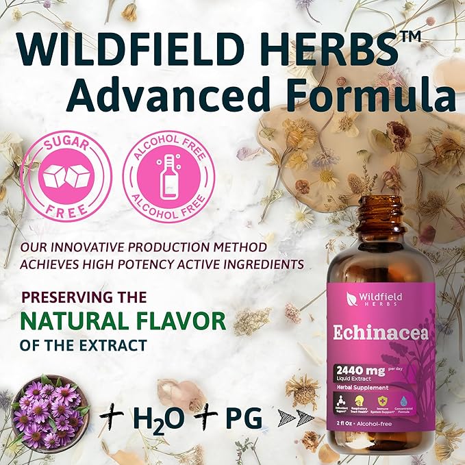 4 oz Liquid Echinacea Extract - Echinacea Root Drops Tincture 2440mg (Echinacea purpurea) Herbal Supplement Absorbs Better Than Capsules, 2 Month Supply, 84 Servings, Alcohol-Free - 2 Oz, Pack of 2