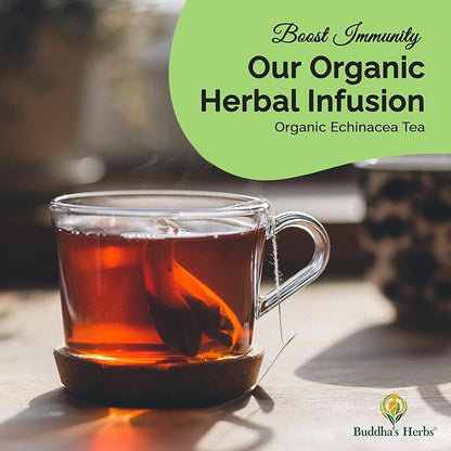 Premium Echinacea Tea with Zinc (Pack of 4, 88 Tea Bags) - Decaffeinated Healthy Tea for Immune Health - Organic Herbal Tea Bags w/Natural Ingredients - Ideal Tea Gifts for Tea Lovers