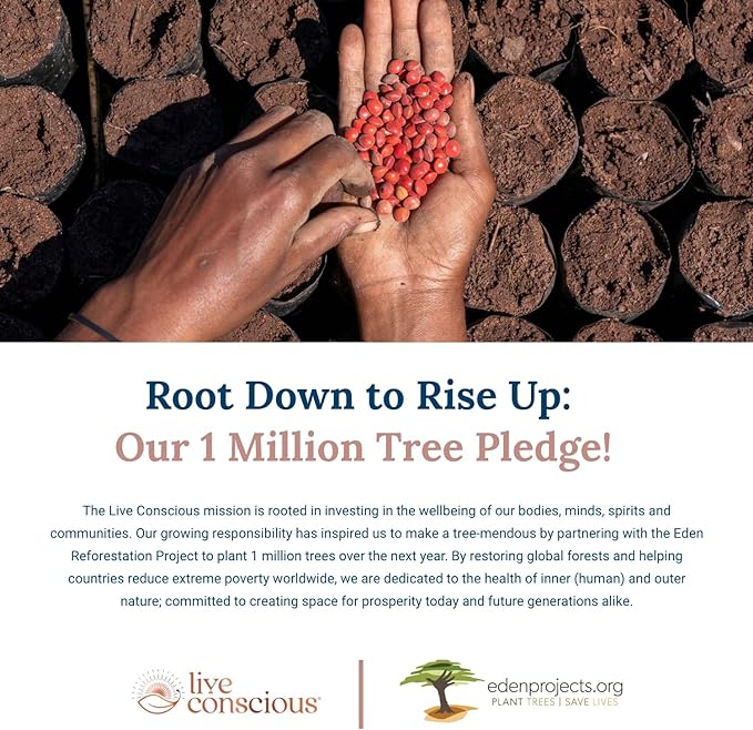 LiverWell Liver Cleanse, Rejuvenation, Metabolic Support - Liver Supplement for Liver Health w/Highly Bioavailable Milk Thistle Extract, N-Acetyl Cysteine, Alpha Lipoic Acid, Zinc, Selenium - 2 Pack