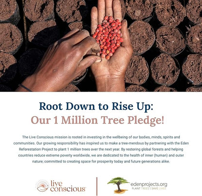 LiverWell Liver Cleanse, Rejuvenation, Metabolic Support - Liver Supplement for Liver Health w/Highly Bioavailable Milk Thistle Extract, N-Acetyl Cysteine, Alpha Lipoic Acid, Zinc, Selenium - 2 Pack