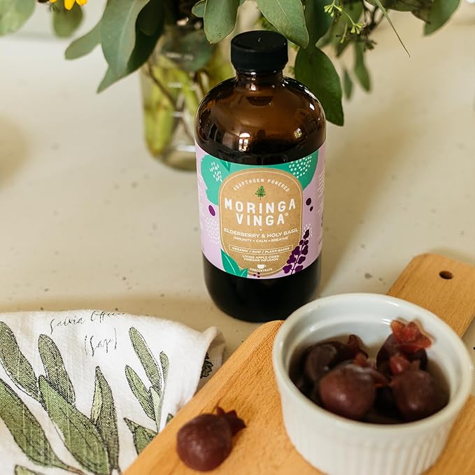 VINGA Organic Elderberry & Holy Basil Moringa Infusion – Daily Herbal Tonic with Apple Cider Vinegar, Ginger, Hibiscus, Honey | Supports Immune & Overall Wellness | Non-GMO, 16 oz