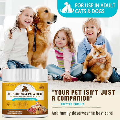 Organic Mushroom Supplement Powder for Dogs & Cats – 11 Mushroom Complex with Turkey Tail, Reishi & Cordyceps, Supports Lipoma, Lumps & Bumps Relief, Immune & Skin Health, 120g