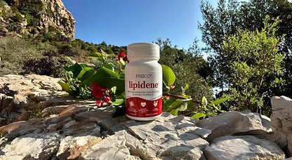 Cholesterol Support & Heart Health Supplement – Lipid Balance, Cardiovascular Function, Heart Health, Circulation and Arterial Wellness. Contains Bergamot & Olive Fruit Extract – 30 Capsules
