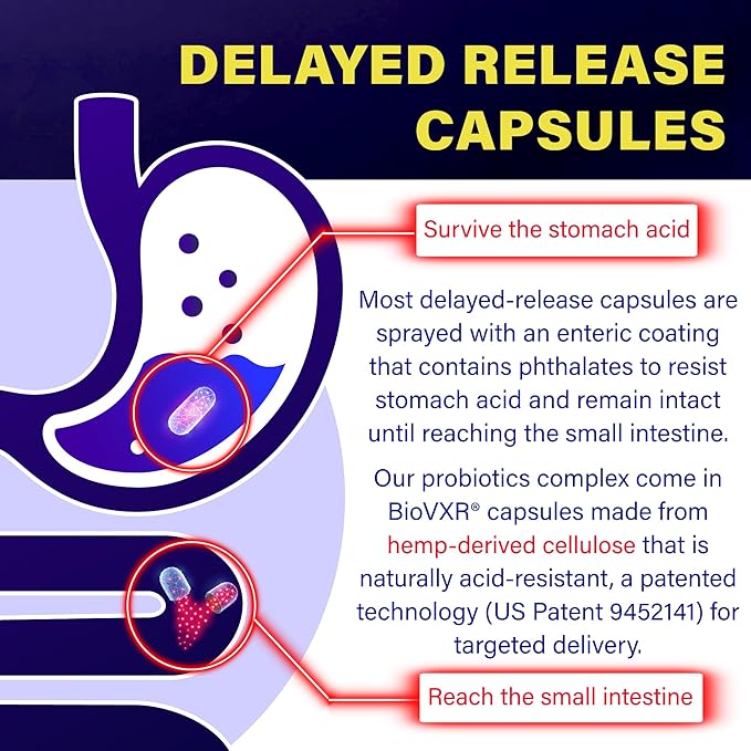 Delayed Release Akkermansia GLP-1 Probiotic with Berberine and Soluble Beta-Glucan Prebiotic Fiber; 3 Billion AFU, 60 Capsules, for Gut Health Support