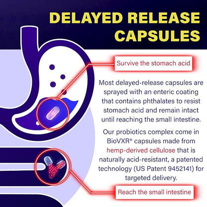 Delayed Release Akkermansia GLP-1 Probiotic with Berberine and Soluble Beta-Glucan Prebiotic Fiber; 3 Billion AFU, 60 Capsules, for Gut Health Support