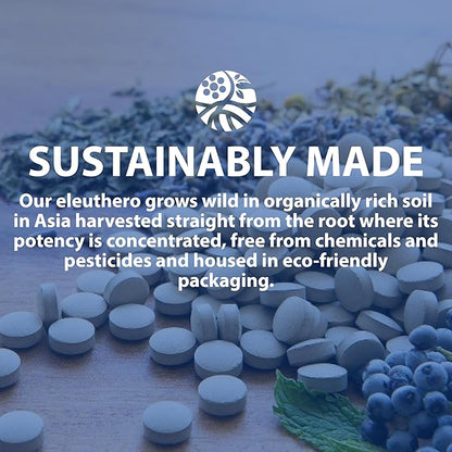 Sun Chlorella Sun Ukogi Organic Eleuthero Root 200 mg Siberian Ginseng Supplement - Natural Adaptogen Well Being & Endurance Supplement for Women & Men - Non-GMO - 240 Tablets