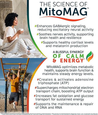 Blissful MitoMag – 300mg Elemental Magnesium Complex: Mg Glycinate, Mg BHB - Sleep Muscles Mood Energy Cognitive Focus Calm – All Natural, USA Made, No Additives – 60 Vegan Capsules Supplement