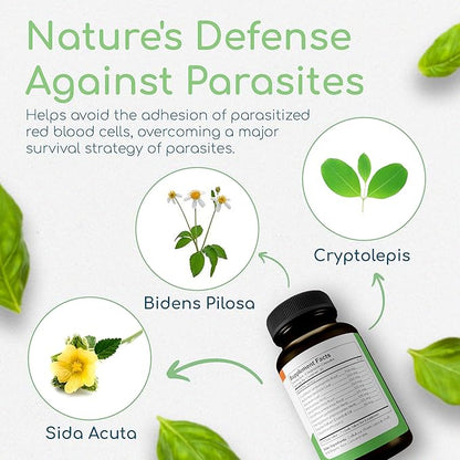 Cryptolepis Synergy, Immune Support Vitamins, Immune System Booster for Adults, Liver, Lymphatic, & Immune Support Supplement, Supports Lyme & Natural Parasite Defense, 120 Capsules