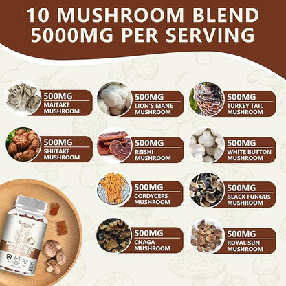 1 Pack 5000MG Mushroom Gummies -10 Blend Organic Mushroom Supplement containing Lion's Mane and Reishi for Brain and Immune Boosting, Vegan Blueberry Flavor, Non-GMO, 60 Counts
