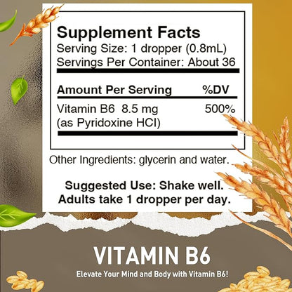 Vitamin B6 (Pyridoxine) Drops – Liquid Vitamin B Drops for Natural Brain Function Support, Blood Vessels & Immune Support – Liquid Vitamin Mood Supplement – Alcohol-Free Health Supplement (1 Fl Oz)