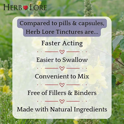 Herb Lore Organic Mullein Tincture Drops - Mullein Leaf Extract for Lungs - Safe for Kids - Alcohol Free (4 fl oz)