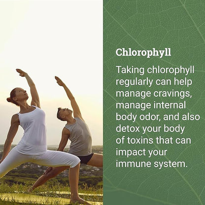 Liquid Chlorophyll, Liquid Drops for Immune System Support, Natural Internal Deodorant - Vegan Chlorophyll Drops with Organic Glycerin - Clorofila Liquida, Chlorophyllin Detox Cleanse (1 mL)