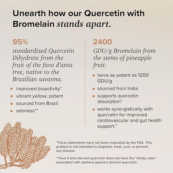 Quercetin with Bromelain - Bioactive Fava d'anta Derived Quercetin with 2400 GDU/g Bromelain 120 Capsules