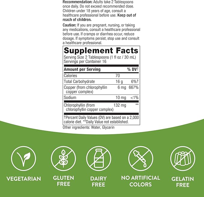 Nature's Way Chlorofresh, Natural Flavor, 16 oz Bottle (Packaging May Vary)