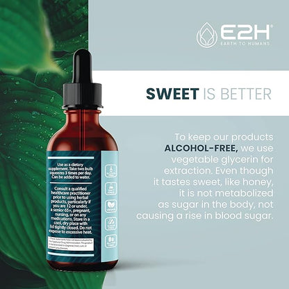 E2H Turkey Tail Mushroom Extract - All-Natural Immune System & Digestive Support from Advanced Mushroom Supplement - Turkey Tail Mushrooms Supplement - Non-GMO, Vegan (3 Bottles)