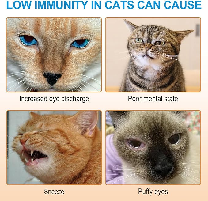 L-Lysine Powder for Cats, 120g Lysine Powder Supports Cats Immune System, Respiratory Health & Visual Function – Lysine Powder Improve Cats Eye Discharge, Pets Health Supplies, Salmon Flavor - 4.23oz