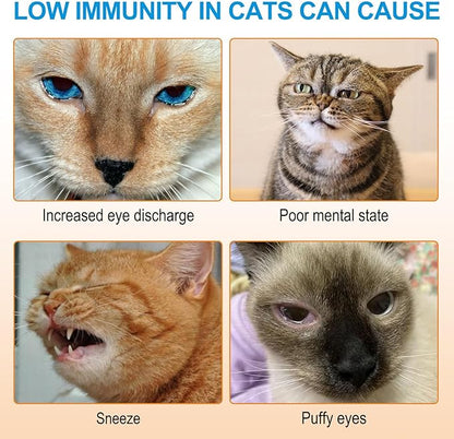 L-Lysine Powder for Cats, 120g Lysine Powder Supports Cats Immune System, Respiratory Health & Visual Function – Lysine Powder Improve Cats Eye Discharge, Pets Health Supplies, Salmon Flavor - 4.23oz