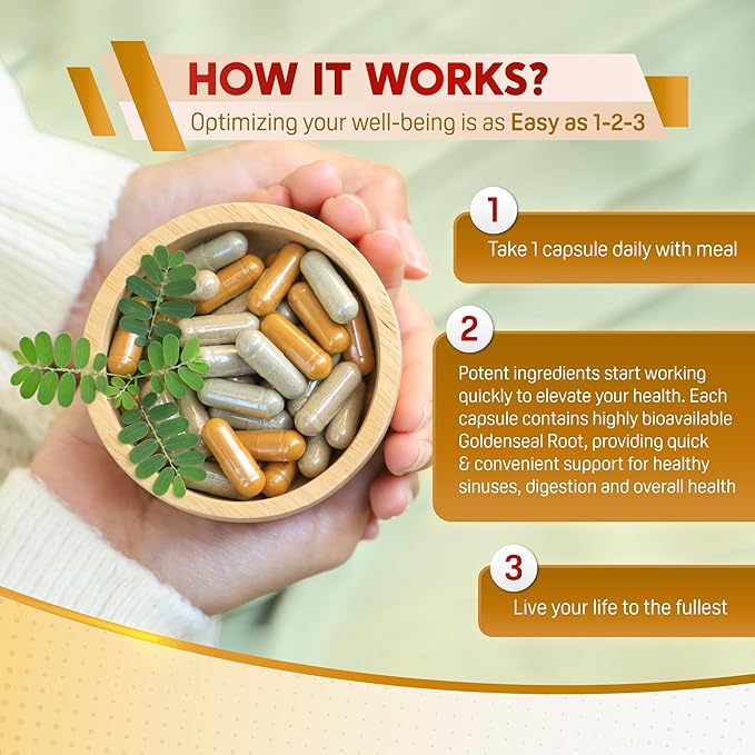 Goldenseal Root Echinacea Cinnamon Elderberry - All-in-1 Supplement - Made in USA