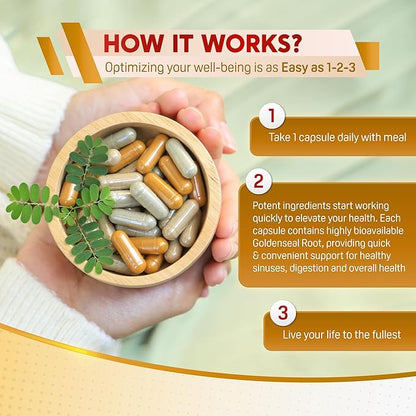 Goldenseal Root Echinacea Cinnamon Elderberry - All-in-1 Supplement - Made in USA