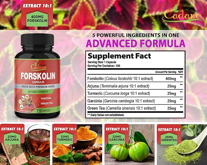Organic Cadane Forskolin Supplement Capsules - 5in1 Concentrated with Turmeric Curcumin, Arjuna, Garcinia Cambogia, and Green Tea - 150 Capsules for 5 Months Supply