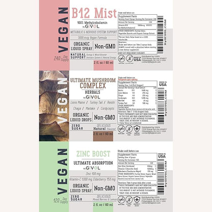 Cognitive Wellness Bundle Liquid Vitamin Trio: Methylcobalamin B12, Lions Mane, Reishi, Chaga Mushroom Complex & Zinc Picolinate: Gluten-Free, Sugar-Free, Non-GMO - 360 Days Supply