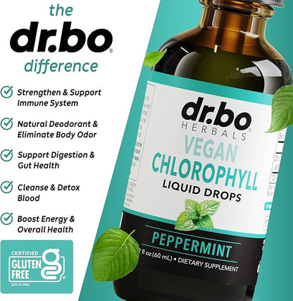 Chlorophyll Liquid Drops Body Detox - Vegan Liquid Chlorophyll Drops Odor Cleanse Supplement, Energy & Immune Support, Internal Deodorant, Body Deodorizing Supplement - Natural Deodorant Water 2 oz