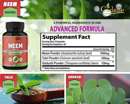 Organic Cadane Neem Leaf Supplements Capsules, 3in1 with Holy Basil Tulsi, Guduchi, 120 Vegetable Capsules | Supports Immune System | Fresh Pure Powder Leaves Herbs