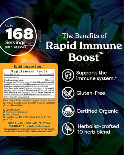Herb Pharm Organic Rapid Immune Boost: Fast-Absorbing Tincture for Adults, Echinacea Tincture with Goldenseal, Ginger Extract & Elderberry, Immune Support Supplement & Wellness Aid, 4 Oz
