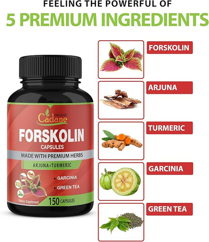 Organic Cadane Forskolin Supplement Capsules - 5in1 Concentrated with Turmeric Curcumin, Arjuna, Garcinia Cambogia, and Green Tea - 150 Capsules for 5 Months Supply