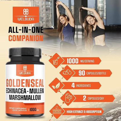 1000mg Goldenseal Root Capsule Extract 10:1 with Echinacea, Mullein Leaf, Marshmallow - Support Immune System, Digestive Health, Overall Well-Being & Body Management - 90 Veggie Capsules