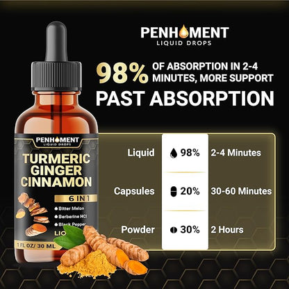 6in1 Liquid Turmeric Ceylon Cinnamon Berberine Ginger Bitter Melon & Black Pepper – Turmeric Supplement Drops for Digestive Health & Mobility – 1 FL OZ – 60 Servings
