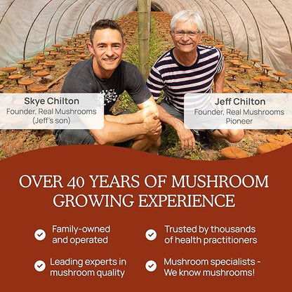 Real Mushrooms Reishi Powder - Organic Mushroom Extract Supplement with Potent Red for Longevity, Mood, Sleep, Immune Support Vegan Supplement, Non-GMO, 45 Servings