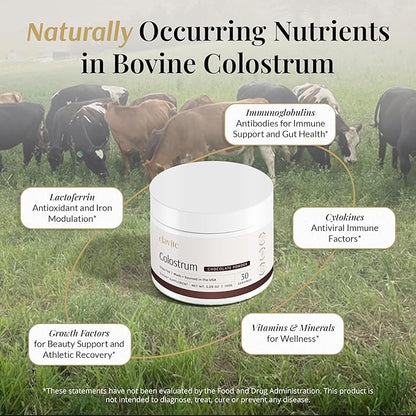Bovine Colostrum Powder (Chocolate) Grass Fed Colostrum Supplement for Gut Health, Immune Support Healthy Hair, Skin & Nails - 30 Servings