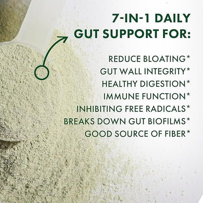 BIOHM Digestive Greens, Green Superfood Powder (7.4 Oz, 30 Servings) Immune & Gut Health Support with Antioxidants, Vitamins, Probiotics & Enzymes, Good Source of Fiber, Berry Flavor