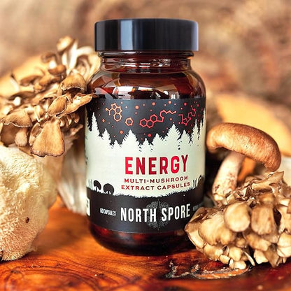 Organic ‘Energy’ Mushroom Supplement | Stamina & Endurance | 60 Day Supply | High Potency Blend | Cordyceps, Reishi, Turkey Tail | 100% Fruiting Body Extracts | Vegan, Non-GMO | Made in USA