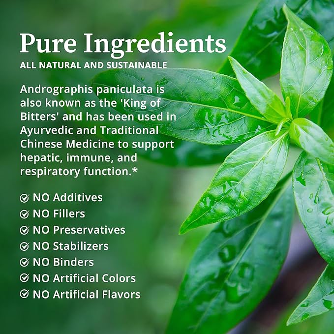 BioPure Andrographis – Organic Herbal Extract of Andrographis paniculata with Andrographolides for Immune System, Liver Health, Respiratory Support, Microbiome Balance, & Overall Wellness – 2 fl oz