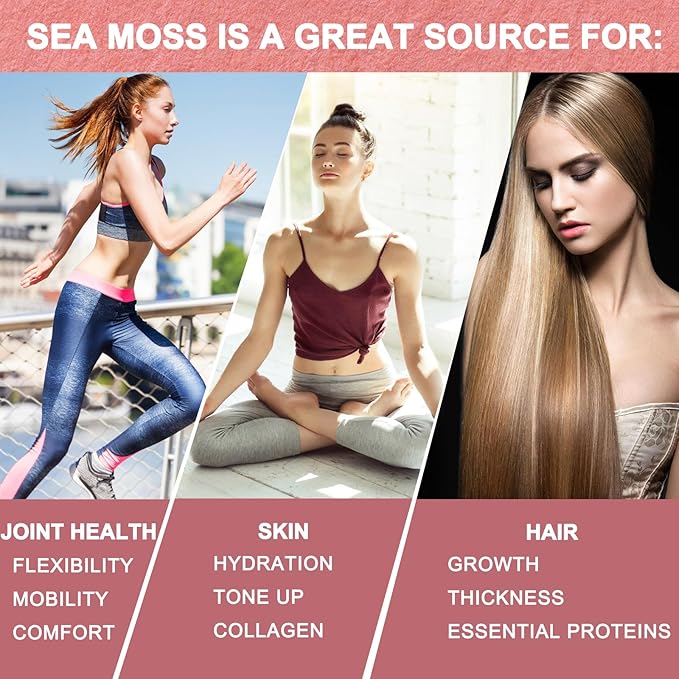 (2 Pack) Sea Moss Black Seed Oil Ashwagandha Ginger Liquid Drops, Rich in Vitamins with Burdock Root, Bladderwrack, Vegan Irish Sea Moss, 6X Stronger Than Pills & Capsules