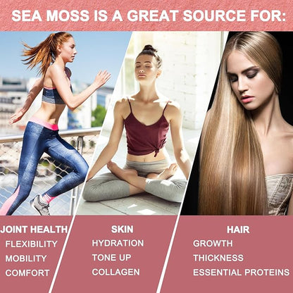 (2 Pack) Sea Moss Black Seed Oil Ashwagandha Ginger Liquid Drops, Rich in Vitamins with Burdock Root, Bladderwrack, Vegan Irish Sea Moss, 6X Stronger Than Pills & Capsules