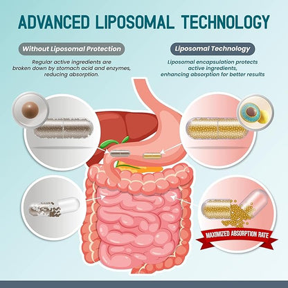 Liposomal HMB with Vitamin D3, K2 & Zinc – Advanced Formula – Supports Muscle Mass, Joint Wellness & Recovery* – 180 Capsules (Pack of 1) – No Gluten or GMOs – Made in The USA