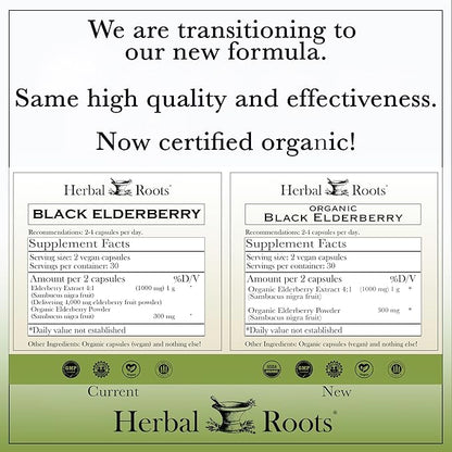 Herbal Roots Organic Black Elderberry Capsules | Max Strength | Made with Organic Sambucus | 60 Vegan Capsules