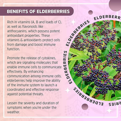 Syrup Bundle – 2 Bottles of Delicious, Gluten-Free Elderberry Herbal Supplements with Potent Immune Benefits Made from Only Organic Ingredients in Small Batches in The USA - 32oz