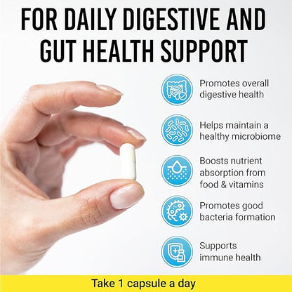 BIGJOHNLAB® - Probiotics 30capsules 1month Supply Women & Men 60 Billion CFU 10 Strains + Organic Prebiotics Immune, Digestive Gut Health Supports Occasional Constipation, Diarrhea, Gas & Bloating
