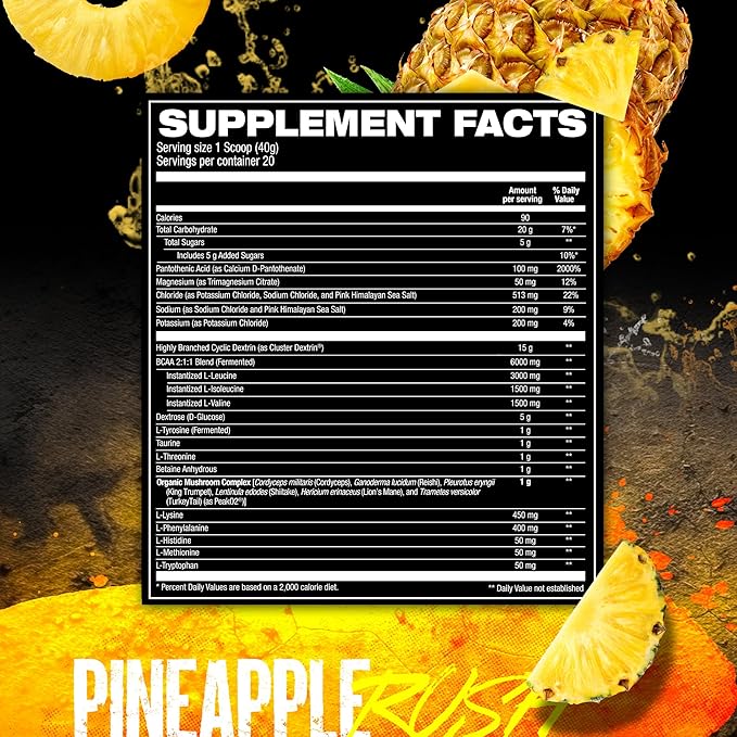 HOSSTILE Intra[R3] Intra Workout Powder, Intra Workout Carb, EAA & BCAA Drink, Enhance Energy & Endurance, Improve Muscle Recovery, Build Lean Muscle, Pineapple Rush, 20 Servings